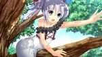  game_cg gray_eyes gray_hair kagura_yuu otonari_koi_sensou shirakawa_hotaru short_hair sugar_house 