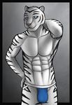  abs anthro aolun aolun_(artist) blue_eyes bulge feline jockstrap looking_at_viewer male mammal pose solo tiger underwear white_tiger 