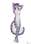  ace_stryker anthro armpits blue_eyes breasts ear_piercing feline female fur grey_fur hair hands_behind_head leopard long_hair looking_at_viewer mammal necklace nipples nude piercing plain_background plantigrade pose purple_fur purple_hair purple_spots pussy smile snow_leopard solo standing white_background 