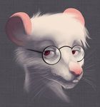  anthro eyewear fur glasses jonas male mammal portrait rat red_eyes rodent solo white_fur 