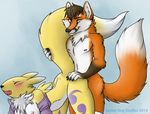  areola black_nose blush breasts canine chest_tuft digimon duo female fluffy_tail fox from_behind fur gloves hanging_breasts male mammal nipples nude open_mouth orange_fur penetration pyropaws renamon sex straight tail_grab tuft werefox werefox_(character) white_fur wingedwolf yellow_fur 