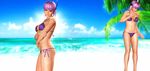  1girl 3d ayane ayane_(doa) beach dead_or_alive swimsuit 