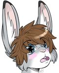  blue_eyes blush brown_hair buckteeth ear_fluff hair headshot headshot_portrait lagomorph logitech male mammal open_mouth portrait rabbit saaracullen solo 