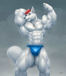  abs anthro arm_behind_head biceps big_muscles black_nose braford bulge canine flexing fox fur green_eyes grin hair huge_muscles looking_at_viewer male mammal muscles necklace pecs plain_background pose red_hair smile solo speedo standing swimsuit teeth thong toned topless white_fur 