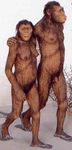  brown_fur caveman duo female fur homo_neanderthalensis male nipples outside penis 