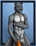  abs anthro aolun aolun_(artist) balls biceps black_nose blue_eyes canine fur grey_fur looking_at_viewer male mammal muscles nude pecs penis plain_background pose sheath solo speedo standing swimsuit toned wolf 