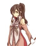  alternate_hairstyle anise_tatlin artist_request brown_eyes brown_hair gloves long_hair lowres older ponytail smile staff tales_of_(series) tales_of_the_abyss 