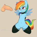  2014 animated balls blush equine female feral flaccid friendship_is_magic horse human male mammal my_little_pony pegasus penis pony precum pussy rainbow_dash_(mlp) sleufoot wet_pussy wings 