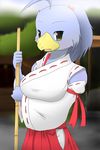  avian beak bird clothed clothing female hair looking_at_viewer skirt sleeves solo tsubasa1110 