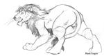  balls blackteagan feline feral lion looking_at_viewer male mammal plain_background sketch solo white_background 