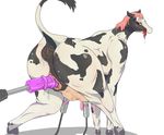  blush bovine cattle dildo female feral fucking_machine hisashi414 hooves looking_back machine mammal mechanical milking_machine pussy pussy_juice raised_tail sex_toy teats tongue tongue_out udders 