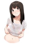  bad_id bad_pixiv_id blush breasts brown_eyes brown_hair covered_nipples kamiyama_aya large_breasts looking_at_viewer navel nipples original see-through shirt shirt_lift simple_background sketch smile solo sweat upper_body wet wet_clothes wet_shirt white_background 