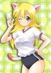  animal_ears blonde_hair buruma cat_ears double_vertical_stripe gym_uniform hoshii_miki idolmaster idolmaster_(classic) idolmaster_1 itsuki_sayaka long_hair solo 