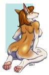  4_toes anthro anus back breasts brown_eyes canine claws corgi digitigrade dog female hindpaw iggi kneeling looking_back mammal nipples nude pawpads paws pinup plain_background pussy soles solo toes 
