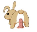  &#12460;&#12460;&#12523;&#12494;&#12501; bestiality butt cum cum_in_pussy cum_inside disembodied_penis erection faceless_male female feral first_person_view from_behind human humanoid_penis interspecies lagomorph looking_at_viewer low_res male mammal no_sound nude penetration penis plain_background rabbit sex straight vaginal vaginal_penetration white_background 