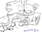  blaze_the_cat blush cat duo feline hedgehog looking_at_viewer mammal sega sonic_(series) sonic_the_hedgehog source_request unknown_artist video_games 