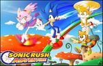  blue_eyes canine cat feline flying fox green_eyes hedgehog high_heels mammal marine_the_raccoon miles_prower mushroom raccoon sayamiyazaki sega sonic_(series) sonic_the_hedgehog video_games yellow_eyes 