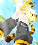  biceps blue_eyes body_markings brown_fur claws clothing feline fur grin looking_at_viewer looking_down male mammal markings morenatsu muscles outside pants pecs pink_nose shirt sky solo source_request standing sun tiger torahiko_ooshima unknown_artist water 