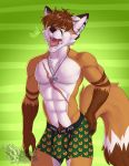  abs anthro athletic briefs bulge caim_(evilfawx) canine clothing fox jewelry male mammal necklace open_mouth pubes scar solo standing tongue tongue_out underwear vallhund yawn 