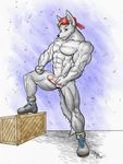  anthro balls biceps black_nose blonde_hair blue_eyes canine crate create erection footwear fur furz1 grey_fur hair hat humanoid_penis looking_at_viewer male mammal muscles nude pecs penis pose presenting raised_leg shoes solo standing toned wolf wolfgangcake 