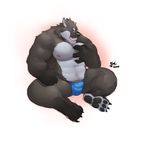 biceps big_muscles bin bulge canine chubby looking_at_viewer male mammal muscles open_mouth pawpads paws pecs seated solo topless underwear wolf 