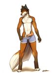  anthro brown_hair canine fur fuzzyfox hair lost-paw male mammal penis plain_background shadow short_hair solo standing underwear white_background 