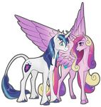  alpha_channel blue_eyes blue_hair couple cutie_mark duo equine female friendship_is_magic hair horn male mammal multi-colored_hair my_little_pony plain_background princess_cadance_(mlp) purple_eyes shining_armor_(mlp) sugarcup transparent_background unicorn winged_unicorn wings 