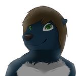  2014 anthro fish fur green_eyes hair hybrid looking_at_viewer male mammal marine mustelid otter plain_background portrait shark smile solo unknown vinc vinc_(character) 