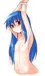  armpits arms_up bdsm blue_hair bondage bound bound_wrists flat_chest highres hinanawi_tenshi long_hair looking_at_viewer navel nibi nipples nude red_eyes simple_background sketch solo touhou white_background 