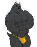  2018 american_staffordshire_terrier anthro big_muscles black_body black_fur black_nipples black_nose black_sclera bodily_fluids body_hair brock_(pumadime) bulge canid canine canis clothed clothing domestic_dog ear_piercing flexing fur happy_trail hunting_dog male mammal muscular muscular_male nipples piercing pumadime solo speedo standing sweat swimwear terrier topless veiny_muscles white_backgroud yellow_eyes 
