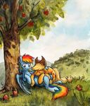  apple applejack_(mlp) cloud cowboy_hat cutie_mark duo equine eyes_closed female friendship_is_magic fruit grass hair hat horse lying mammal multi-colored_hair my_little_pony outside pegasus pony purple_eyes rainbow_dash_(mlp) rainbow_hair sitting sky sophiecabra tess_garman tree wings 