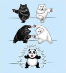  bear black_bear fusion_dance jpeg_artifacts no_humans panda polar_bear resizing_artifacts 