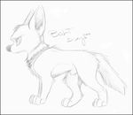  bolt_(film) canine collar cute disney dog fanartonfire feral fur german_shepherd hi_res male mammal pencil_(art) penis pose sheath sketch solo 