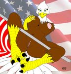  anthro avian bald_eagle bird blue_eyes breasts eagle edit female flag pussy talon talons zp92 