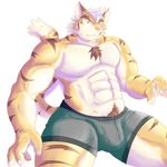  abs anthro biceps big_muscles blue_eyes body_markings boxers brown_fur bulge chest_tuft claws clothing feline fur hair hati-skm male mammal markings muscles pecs pink_nose plain_background pose pubes sitting solo stripes tan_fur tiger toned topless tuft underwear vein white_fur white_hair 