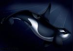  anus bubble cetacean cetecean feral fin genital_slit looking_back male mammal marine markings orca scar slit smirk solo sunlight theothefox underwater water whale 