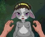  asura blush breasts bust chubby ear_grab female first_person_view front guild_wars_2 human lips looking_at_viewer male mammal purple_eyes sharp_teeth small_breasts teeth unknown_artist zealk 
