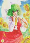  ascot flower green_hair kazami_yuuka lens_flare nature parasol plaid plaid_skirt plaid_vest red_eyes sagami short_hair skirt skirt_set solo sunflower touhou traditional_media umbrella vest 