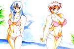  2girls bikini multiple_girls panty tagme toriko_(series) 