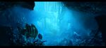  animal blue building fish original scenic underwater wad water 
