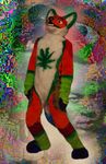  2012 abstract_background canine cardinalfsr dog drugs fursuit husky jones_husky mammal marijuana 
