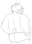  bear butt chubby male mammal mooning solo turborumpquest underwear 