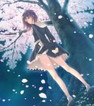  black_eyes brown_hair feet flowers_(game) grass highres innocent_grey legs looking_back night petals shoes short_hair skirt sky socks solo standing thighs tree 