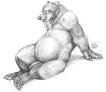  anatomically_correct_penis animal_genitalia bear blotch chubby claws eyes_closed greyscale hindpaw male mammal monochrome open_mouth pawpads paws penis plain_background realistic reclining solo white_background 