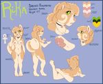  &lt;3 ankh anthro breasts butt canine collar dog female fluffy fluffy_tail fur green_eyes legs_up lying mammal markings model_sheet nipples nude on_front pawpads pomeranian pussy rika rika_(character) short smile solo standing tan_fur thigh_gap 