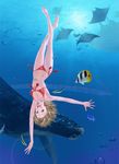  bad_id bad_pixiv_id barefoot bikini blue_eyes brown_hair bubble fish freediving original shirasu short_hair solo swimming swimsuit underwater upside-down whale 