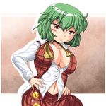  ascot bad_id bad_pixiv_id blush breasts cleavage curvy green_hair kazami_yuuka large_breasts navel open_clothes open_shirt plaid plaid_skirt plaid_vest red_eyes shirt short_hair skirt skirt_set solo touhou unbuttoned untied vest yoriyuki_chiyo 