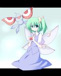 crossover daiyousei gen_3_pokemon green_eyes green_hair masquerain miyo_(miyomiyo01) poke_ball pokemon pokemon_(creature) side_ponytail smile touhou wings 