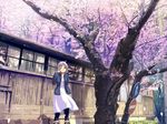  cherry_blossoms dress fo~do jacket morioka no_entry_sign original pedestrians_only_sign pink_hair real_world_location road_sign scenery short_hair sign solo tears tree window 