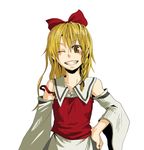  if_they_mated kyouno one_eye_closed rerisa_(kyouno) smile solo touhou 